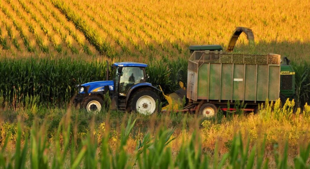 Why Is Truck Farming Important? A Complete Breakdown