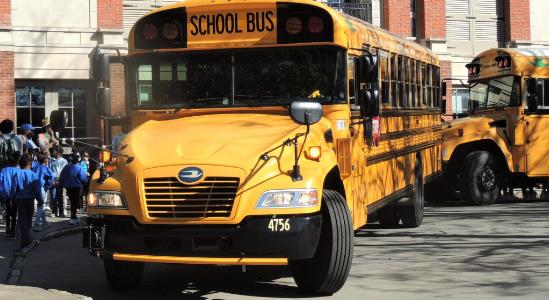 School Bus Design Variations
