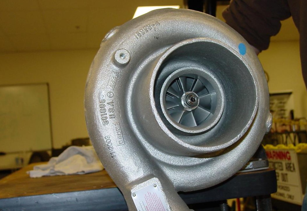 Can Turbo Bark Cause Problems? Quick Answer