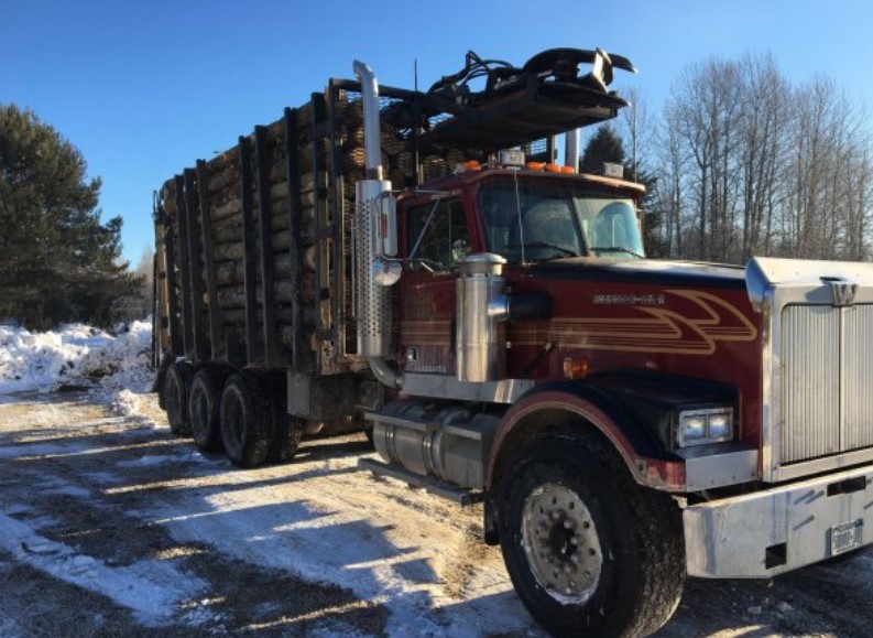 How Much Is A Truck Load Of Wood Worth? Quick Answer