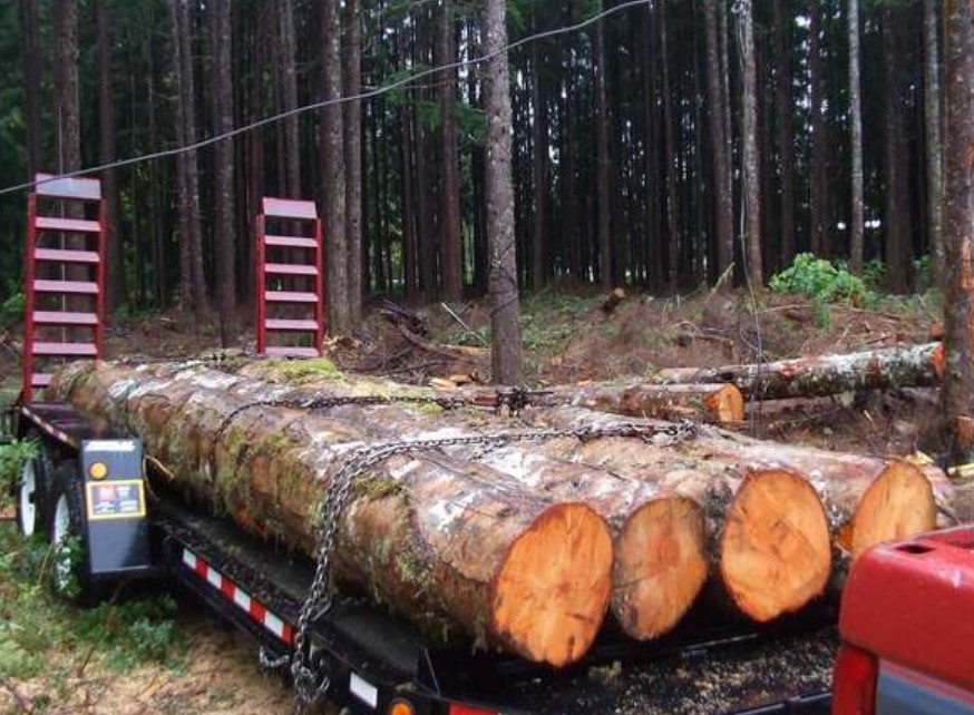 How Much Is A Truck Load Of Wood Worth? Quick Answer