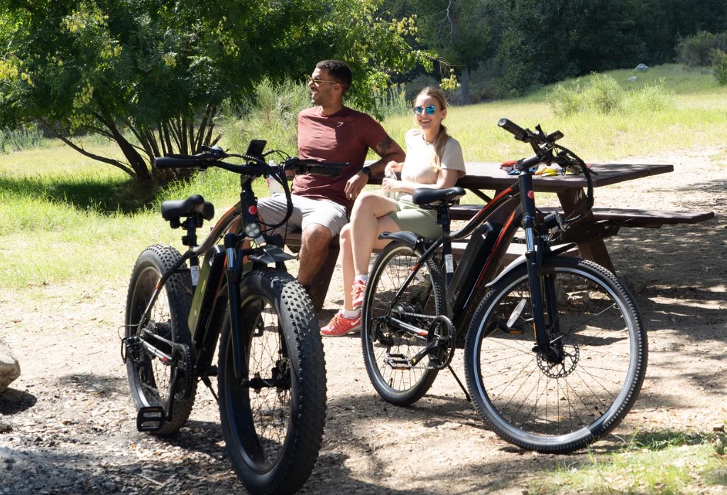 Why Are Electric Bikes So Expensive? Explained